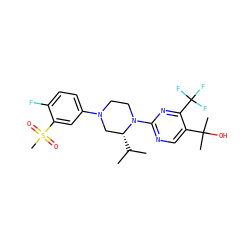 CC(C)[C@@H]1CN(c2ccc(F)c(S(C)(=O)=O)c2)CCN1c1ncc(C(C)(C)O)c(C(F)(F)F)n1 ZINC000653913865