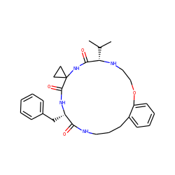 CC(C)[C@@H]1NCCOc2ccccc2CCCNC(=O)[C@H](Cc2ccccc2)NC(=O)C2(CC2)NC1=O ZINC001772597751