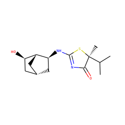 CC(C)[C@]1(C)SC(N[C@H]2C[C@H]3C[C@@H]2[C@H](O)C3)=NC1=O ZINC000084616372