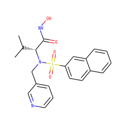 CC(C)[C@H](C(=O)NO)N(Cc1cccnc1)S(=O)(=O)c1ccc2ccccc2c1 ZINC000073160459