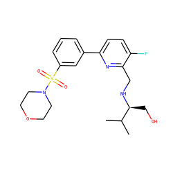 CC(C)[C@H](CO)NCc1nc(-c2cccc(S(=O)(=O)N3CCOCC3)c2)ccc1F ZINC000204413118