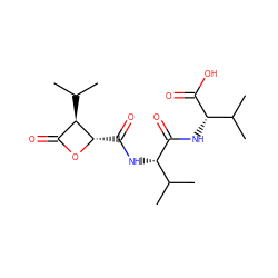 CC(C)[C@H](NC(=O)[C@@H](NC(=O)[C@@H]1OC(=O)[C@H]1C(C)C)C(C)C)C(=O)O ZINC000473136280