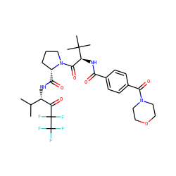 CC(C)[C@H](NC(=O)[C@@H]1CCCN1C(=O)[C@H](NC(=O)c1ccc(C(=O)N2CCOCC2)cc1)C(C)(C)C)C(=O)C(F)(F)C(F)(F)F ZINC000026494930