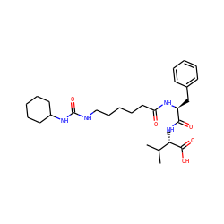 CC(C)[C@H](NC(=O)[C@H](Cc1ccccc1)NC(=O)CCCCCNC(=O)NC1CCCCC1)C(=O)O ZINC000036330754