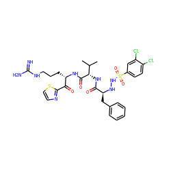 CC(C)[C@H](NC(=O)[C@H](Cc1ccccc1)NNS(=O)(=O)c1ccc(Cl)c(Cl)c1)C(=O)N[C@@H](CCCNC(=N)N)C(=O)c1nccs1 ZINC000037868456
