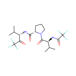 CC(C)[C@H](NC(=O)C(F)(F)F)C(=O)N1CCC[C@H]1C(=O)N[C@H](C(=O)C(F)(F)F)C(C)C ZINC000013762605