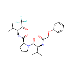 CC(C)[C@H](NC(=O)COc1ccccc1)C(=O)N1CCC[C@H]1C(=O)N[C@H](C(=O)C(F)(F)F)C(C)C ZINC000013765566
