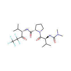 CC(C)[C@H](NC(=O)N(C)C)C(=O)N1CCC[C@H]1C(=O)N[C@H](C(=O)C(F)(F)C(F)(F)F)C(C)C ZINC000013739986