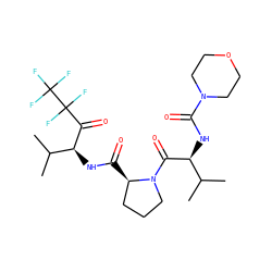 CC(C)[C@H](NC(=O)N1CCOCC1)C(=O)N1CCC[C@H]1C(=O)N[C@H](C(=O)C(F)(F)C(F)(F)F)C(C)C ZINC000003787990