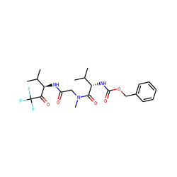 CC(C)[C@H](NC(=O)OCc1ccccc1)C(=O)N(C)CC(=O)N[C@@H](C(=O)C(F)(F)F)C(C)C ZINC000013450025