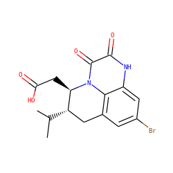 CC(C)[C@H]1Cc2cc(Br)cc3[nH]c(=O)c(=O)n(c23)[C@@H]1CC(=O)O ZINC000029311568
