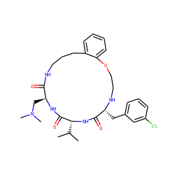 CC(C)[C@H]1NC(=O)[C@@H](Cc2cccc(Cl)c2)NCCOc2ccccc2CCCNC(=O)[C@H](CN(C)C)NC1=O ZINC000028823454