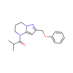 CC(C)C(=O)N1CCCn2nc(COc3ccccc3)cc21 ZINC000473150540