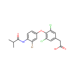 CC(C)C(=O)Nc1ccc(Oc2c(Cl)cc(CC(=O)O)cc2Cl)cc1Br ZINC000014969186