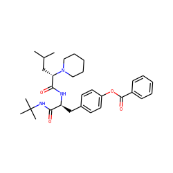 CC(C)C[C@@H](C(=O)N[C@@H](Cc1ccc(OC(=O)c2ccccc2)cc1)C(=O)NC(C)(C)C)N1CCCCC1 ZINC000027999833