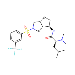 CC(C)C[C@@H](C(=O)N[C@@H]1CC[C@H]2CN(S(=O)(=O)c3cccc(C(F)(F)F)c3)C[C@H]21)N(C)C ZINC000096921265