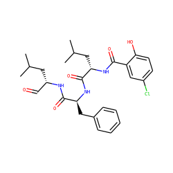 CC(C)C[C@@H](C=O)NC(=O)[C@H](Cc1ccccc1)NC(=O)[C@H](CC(C)C)NC(=O)c1cc(Cl)ccc1O ZINC001772627836