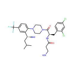 CC(C)C[C@@H](N)c1cc(C(F)(F)F)ccc1N1CCN(C(=O)[C@@H](Cc2ccc(Cl)cc2Cl)NC(=O)CCN)CC1 ZINC000028825739