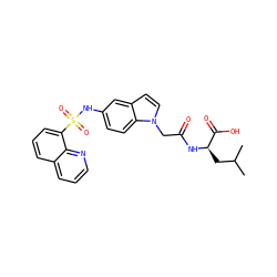 CC(C)C[C@@H](NC(=O)Cn1ccc2cc(NS(=O)(=O)c3cccc4cccnc34)ccc21)C(=O)O ZINC000040974808