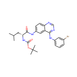 CC(C)C[C@@H](NC(=O)OC(C)(C)C)C(=O)Nc1ccc2ncnc(Nc3cccc(Br)c3)c2c1 ZINC001772572136