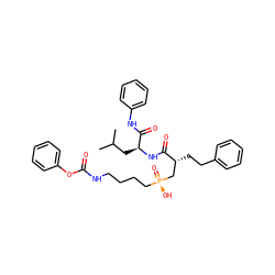 CC(C)C[C@H](NC(=O)[C@H](CCc1ccccc1)C[P@](=O)(O)CCCCNC(=O)Oc1ccccc1)C(=O)Nc1ccccc1 ZINC000026975116