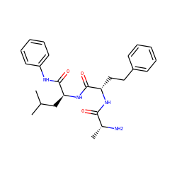 CC(C)C[C@H](NC(=O)[C@H](CCc1ccccc1)NC(=O)[C@@H](C)N)C(=O)Nc1ccccc1 ZINC000027428674
