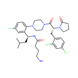 CC(C)C[C@H](NC(=O)CCCN)c1cc(F)ccc1N1CCN(C(=O)[C@@H](Cc2ccc(Cl)cc2Cl)N2CCCC2=O)CC1 ZINC000028823933