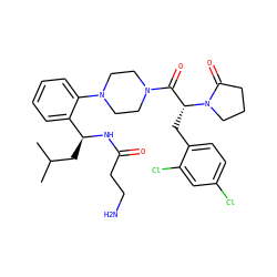 CC(C)C[C@H](NC(=O)CCN)c1ccccc1N1CCN(C(=O)[C@@H](Cc2ccc(Cl)cc2Cl)N2CCCC2=O)CC1 ZINC000028823925