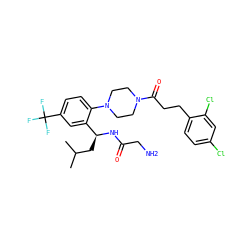 CC(C)C[C@H](NC(=O)CN)c1cc(C(F)(F)F)ccc1N1CCN(C(=O)CCc2ccc(Cl)cc2Cl)CC1 ZINC000036285416