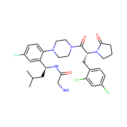 CC(C)C[C@H](NC(=O)CN)c1cc(F)ccc1N1CCN(C(=O)[C@@H](Cc2ccc(Cl)cc2Cl)N2CCCC2=O)CC1 ZINC000028823916