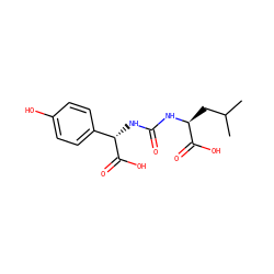 CC(C)C[C@H](NC(=O)N[C@H](C(=O)O)c1ccc(O)cc1)C(=O)O ZINC000045348901