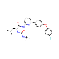 CC(C)C[C@H](NC(=O)NC(C)(C)C)C(=O)Nc1cccc(-c2ccc(Oc3ccc(F)cc3)cc2)n1 ZINC000095577218