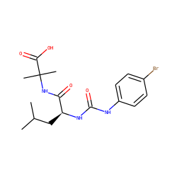 CC(C)C[C@H](NC(=O)Nc1ccc(Br)cc1)C(=O)NC(C)(C)C(=O)O ZINC000096916945