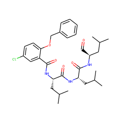 CC(C)C[C@H](NC(=O)c1cc(Cl)ccc1OCc1ccccc1)C(=O)N[C@@H](CC(C)C)C(=O)N[C@@H](C=O)CC(C)C ZINC001772580744