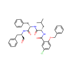 CC(C)C[C@H](NC(=O)c1cc(Cl)ccc1OCc1ccccc1)C(=O)N[C@@H](Cc1ccccc1)C(=O)N[C@@H](C=O)Cc1ccccc1 ZINC001772643252