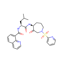 CC(C)C[C@H](NC(=O)c1cccc2cccnc12)C(=O)N[C@H]1CCCN(S(=O)(=O)c2ccccn2)CC1=O ZINC000028525232