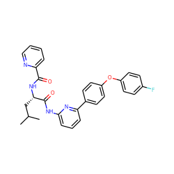 CC(C)C[C@H](NC(=O)c1ccccn1)C(=O)Nc1cccc(-c2ccc(Oc3ccc(F)cc3)cc2)n1 ZINC000095572935