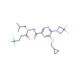 CC(C)C[C@H](NC(=O)c1cnc(N2CC(F)(F)C2)c(OCC2CC2)n1)C(=O)NCC(F)(F)F ZINC000207393284