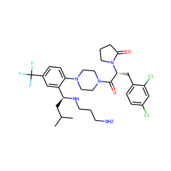 CC(C)C[C@H](NCCCN)c1cc(C(F)(F)F)ccc1N1CCN(C(=O)[C@@H](Cc2ccc(Cl)cc2Cl)N2CCCC2=O)CC1 ZINC000028823907