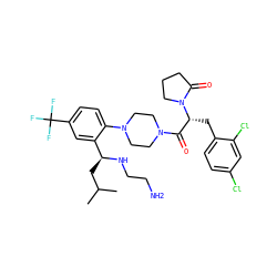 CC(C)C[C@H](NCCN)c1cc(C(F)(F)F)ccc1N1CCN(C(=O)[C@@H](Cc2ccc(Cl)cc2Cl)N2CCCC2=O)CC1 ZINC000028823899