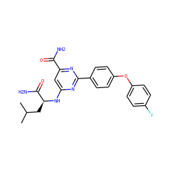 CC(C)C[C@H](Nc1cc(C(N)=O)nc(-c2ccc(Oc3ccc(F)cc3)cc2)n1)C(N)=O ZINC000142422319