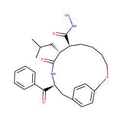 CC(C)C[C@H]1C(=O)N[C@H](C(=O)c2ccccc2)Cc2ccc(cc2)OCCCC[C@@H]1C(=O)NO ZINC000100820059