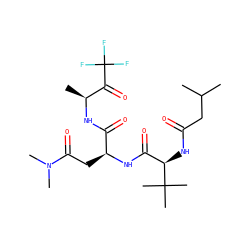 CC(C)CC(=O)N[C@H](C(=O)N[C@@H](CC(=O)N(C)C)C(=O)N[C@@H](C)C(=O)C(F)(F)F)C(C)(C)C ZINC000013775850