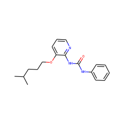 CC(C)CCCOc1cccnc1NC(=O)Nc1ccccc1 ZINC000028567806