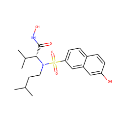 CC(C)CCN([C@@H](C(=O)NO)C(C)C)S(=O)(=O)c1ccc2ccc(O)cc2c1 ZINC000073196617