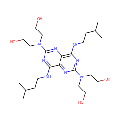 CC(C)CCNc1nc(N(CCO)CCO)nc2c(NCCC(C)C)nc(N(CCO)CCO)nc12 ZINC000028710660