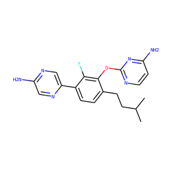 CC(C)CCc1ccc(-c2cnc(N)cn2)c(F)c1Oc1nccc(N)n1 ZINC000224561293