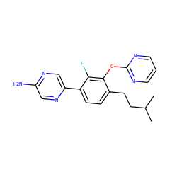 CC(C)CCc1ccc(-c2cnc(N)cn2)c(F)c1Oc1ncccn1 ZINC000224561792