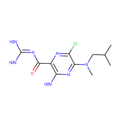 CC(C)CN(C)c1nc(N)c(C(=O)N=C(N)N)nc1Cl ZINC000004467875