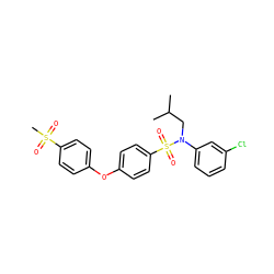 CC(C)CN(c1cccc(Cl)c1)S(=O)(=O)c1ccc(Oc2ccc(S(C)(=O)=O)cc2)cc1 ZINC000145580885
